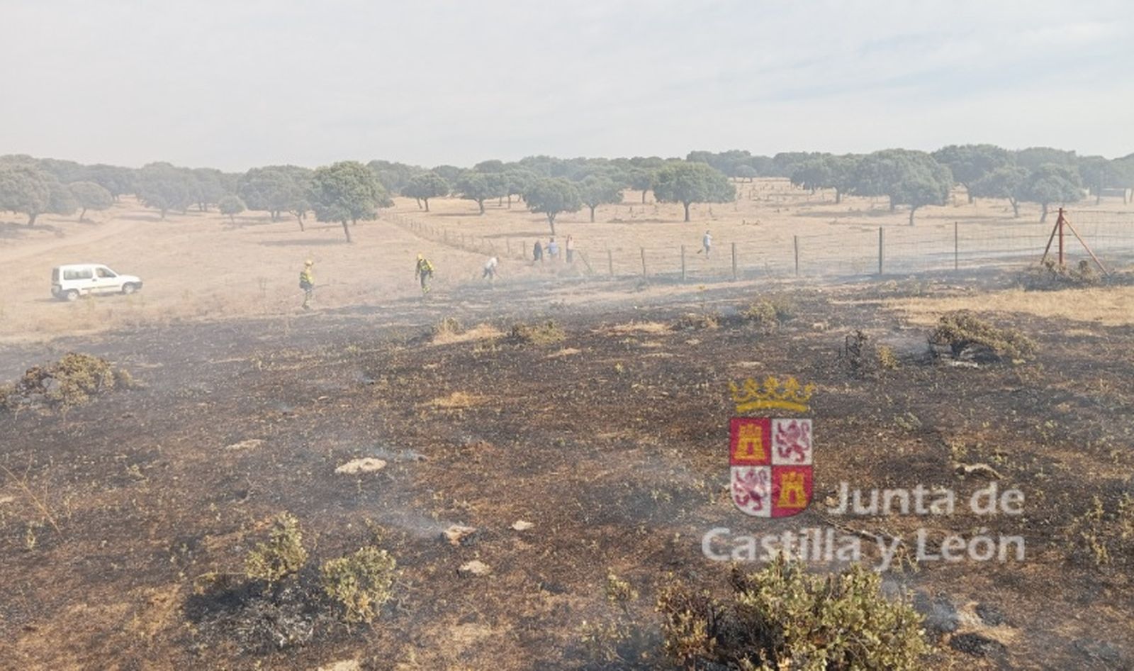 Incendio que afecta a una parcela próxima a Villalba de los Llanos