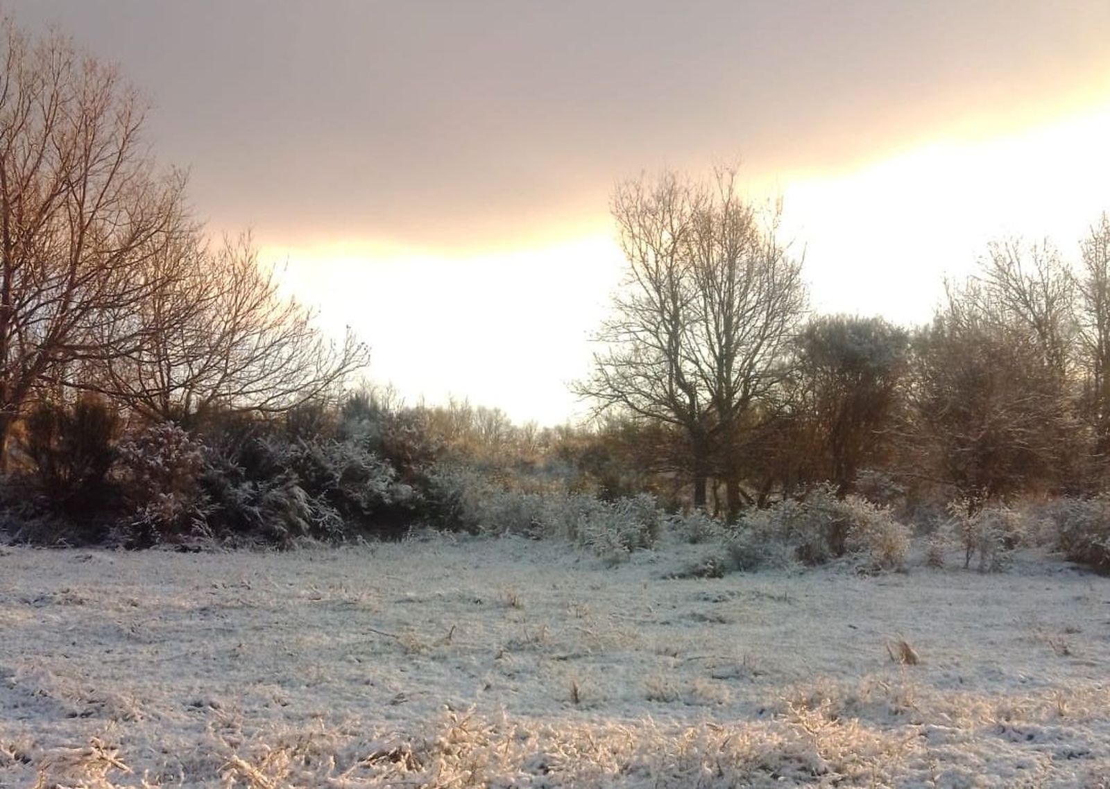nieve-y-hielo-en-sanabria-11