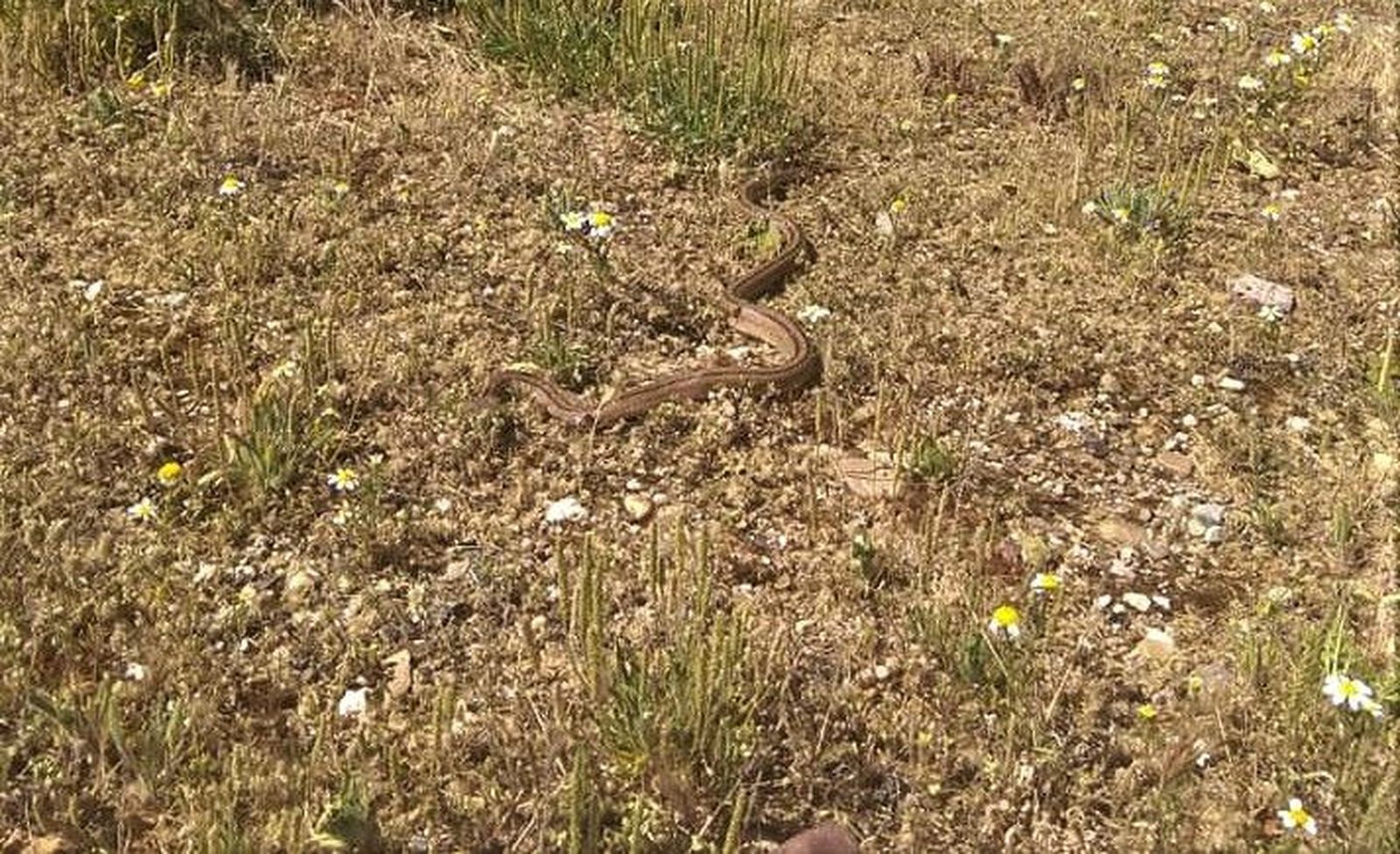 60311554 2384450421681277 1311999461093801984 n