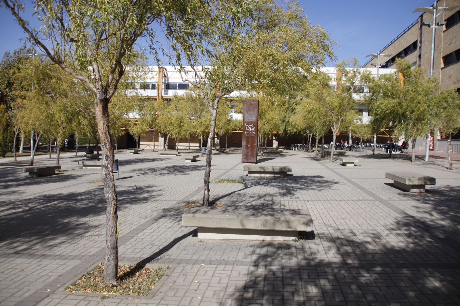 Plaza de Bolonia (Campus Unamuno) | Foto: S24H