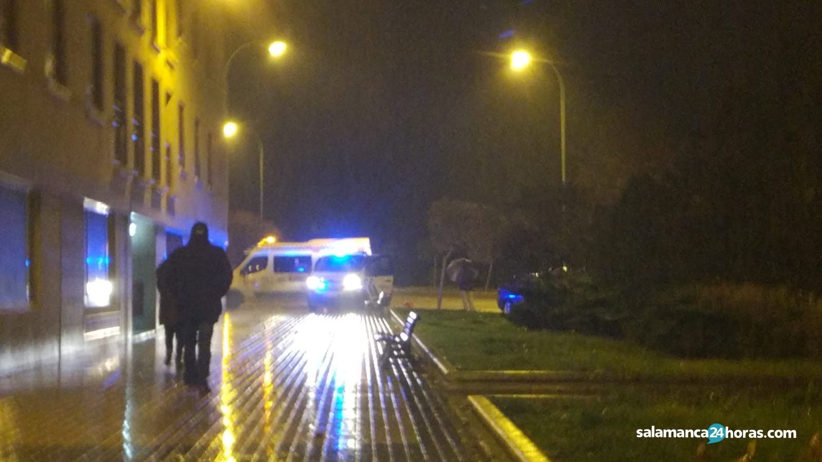 Atropello Moreruela 1