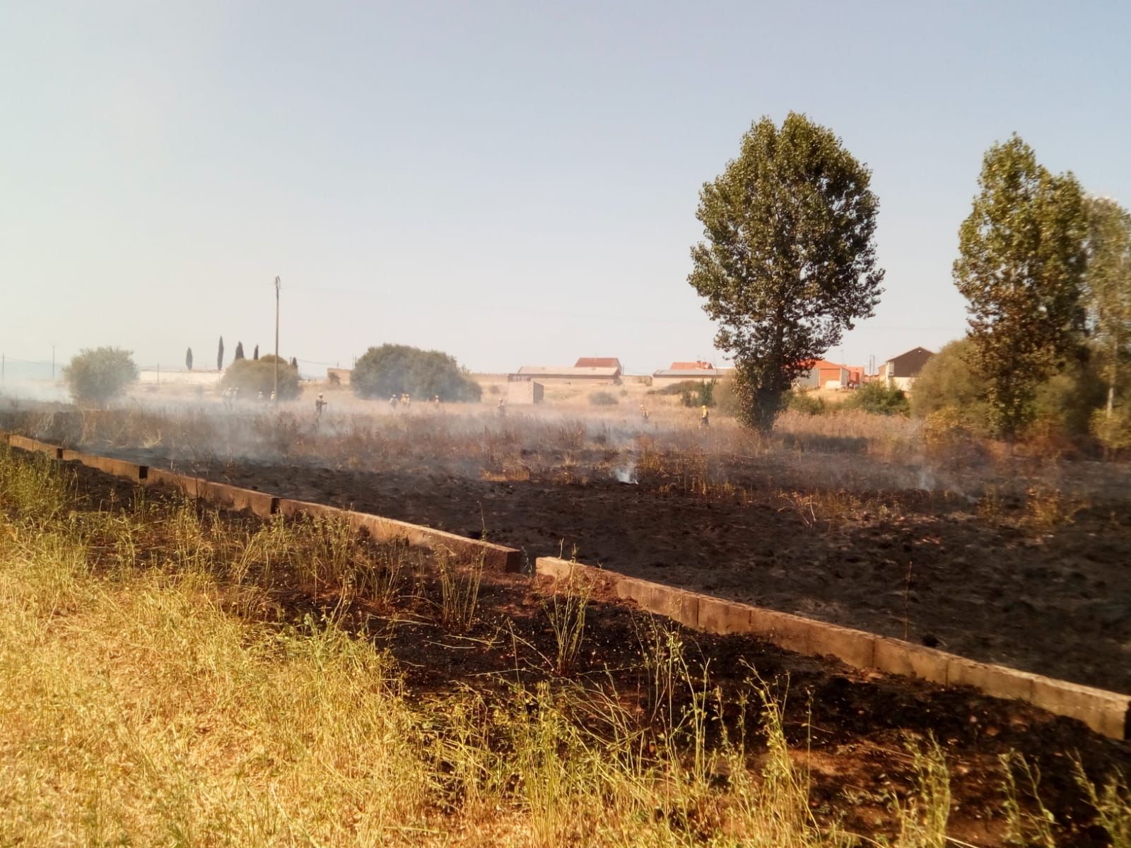 whatsapp-image-2021-08-24-at-16-04-19-2