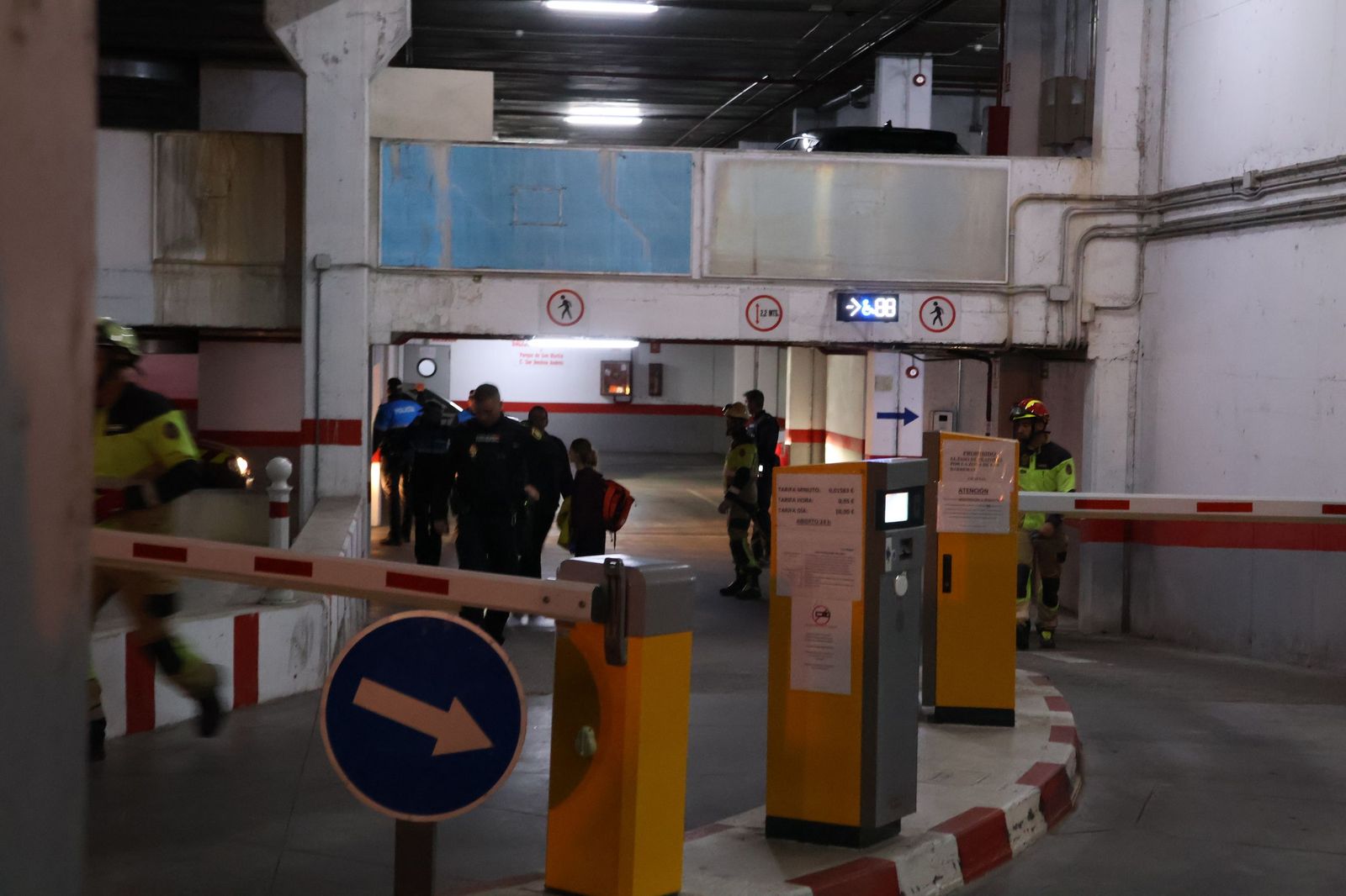 Rescate del ciervo en el Parking de San Martín (19).JPG