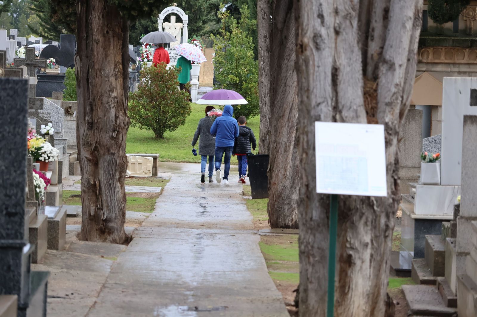 GALERÍA | La lluvia no detiene la tradición: los zamoranos acuden al cementerio para recordar a sus fallecidos