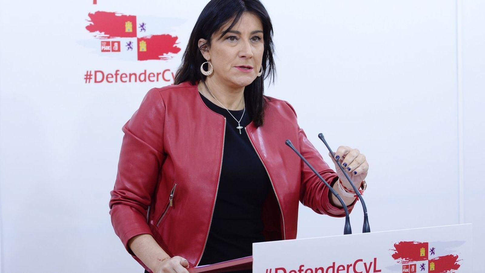 La secretaria de Organización del PSOE de Castilla y León, Ana Sánchez