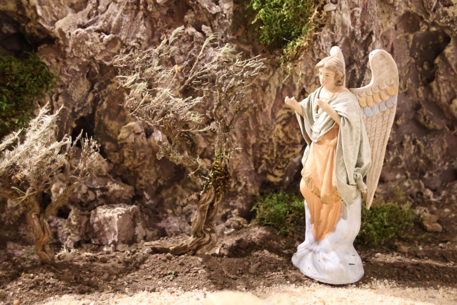 20231201133700-img-5014