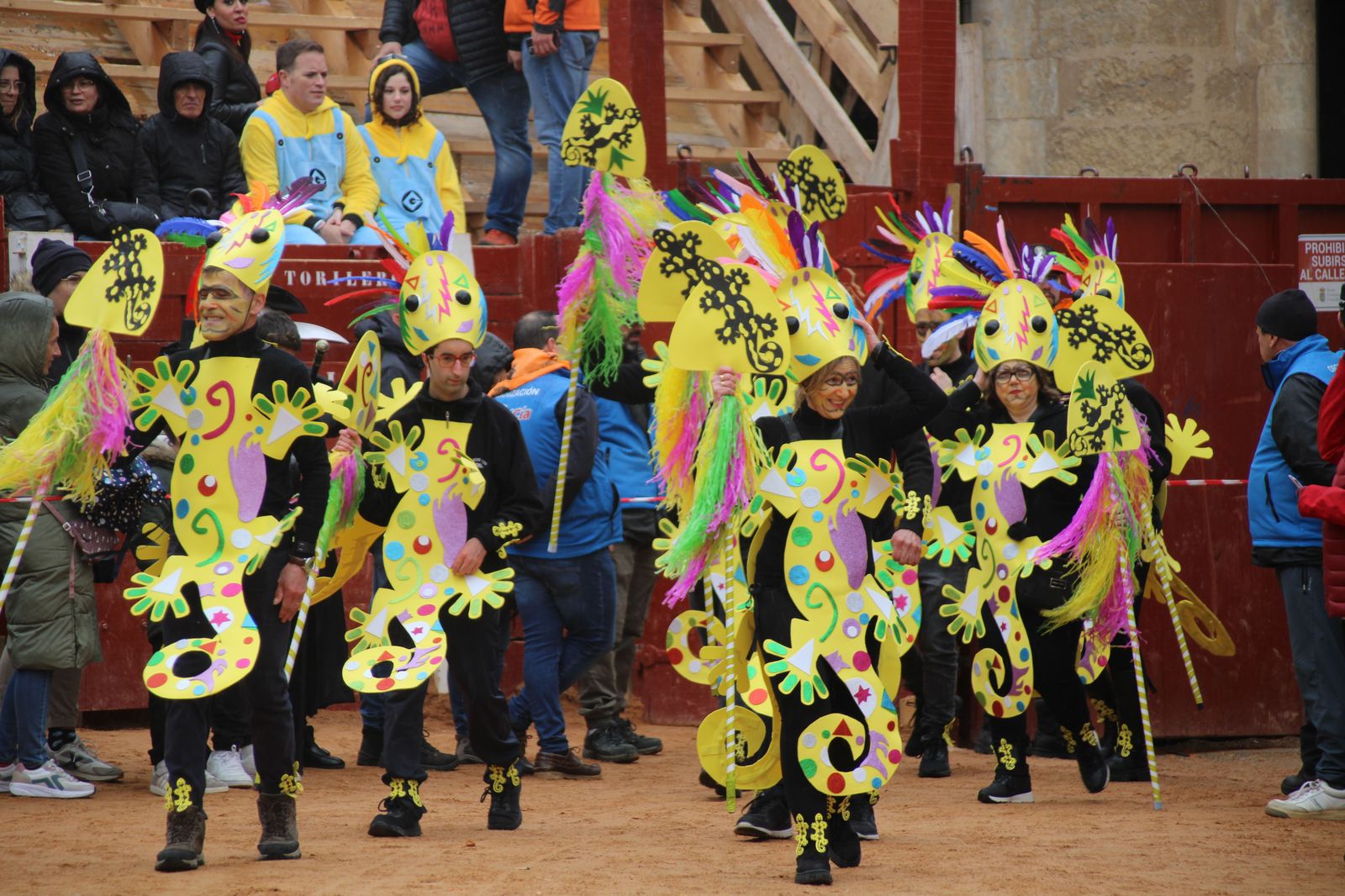 desfile-disfraz-callejero-sabado-carnaval-ciudad-rodrigo-2025-15
