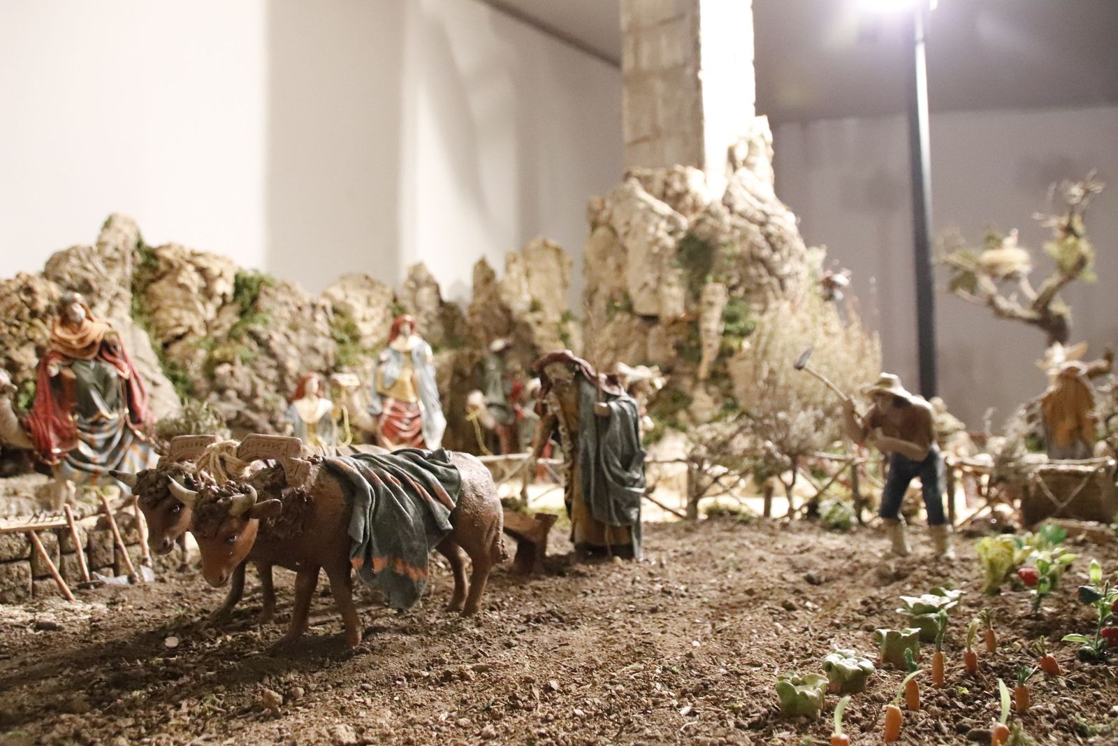 20221201130042-mg-4619