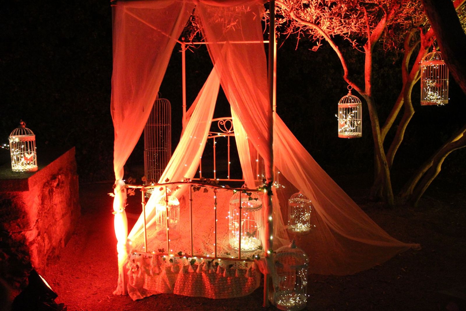 20231204212848-img-6417