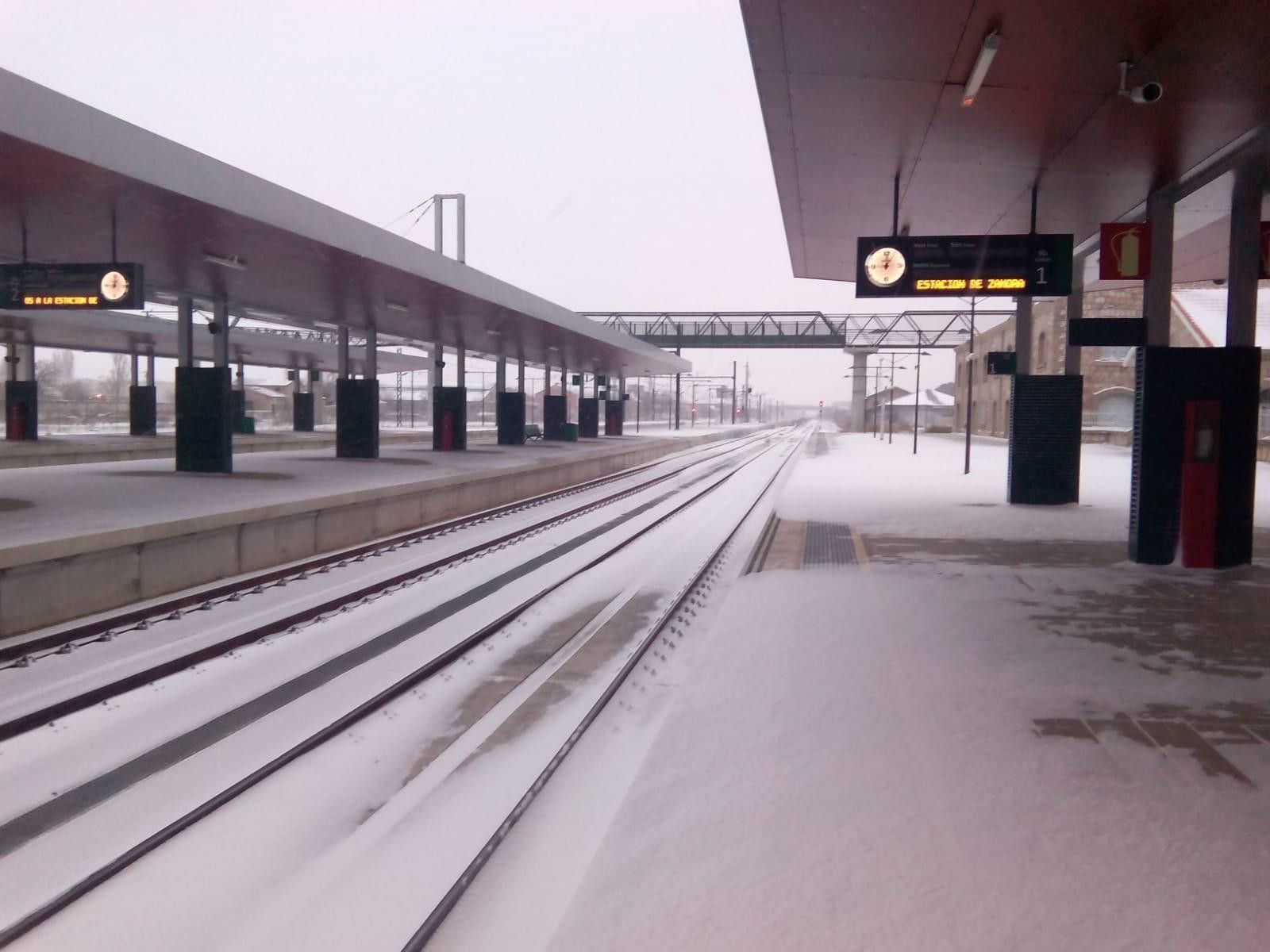 WhatsApp Image 2021 01 09 at 12.32.36