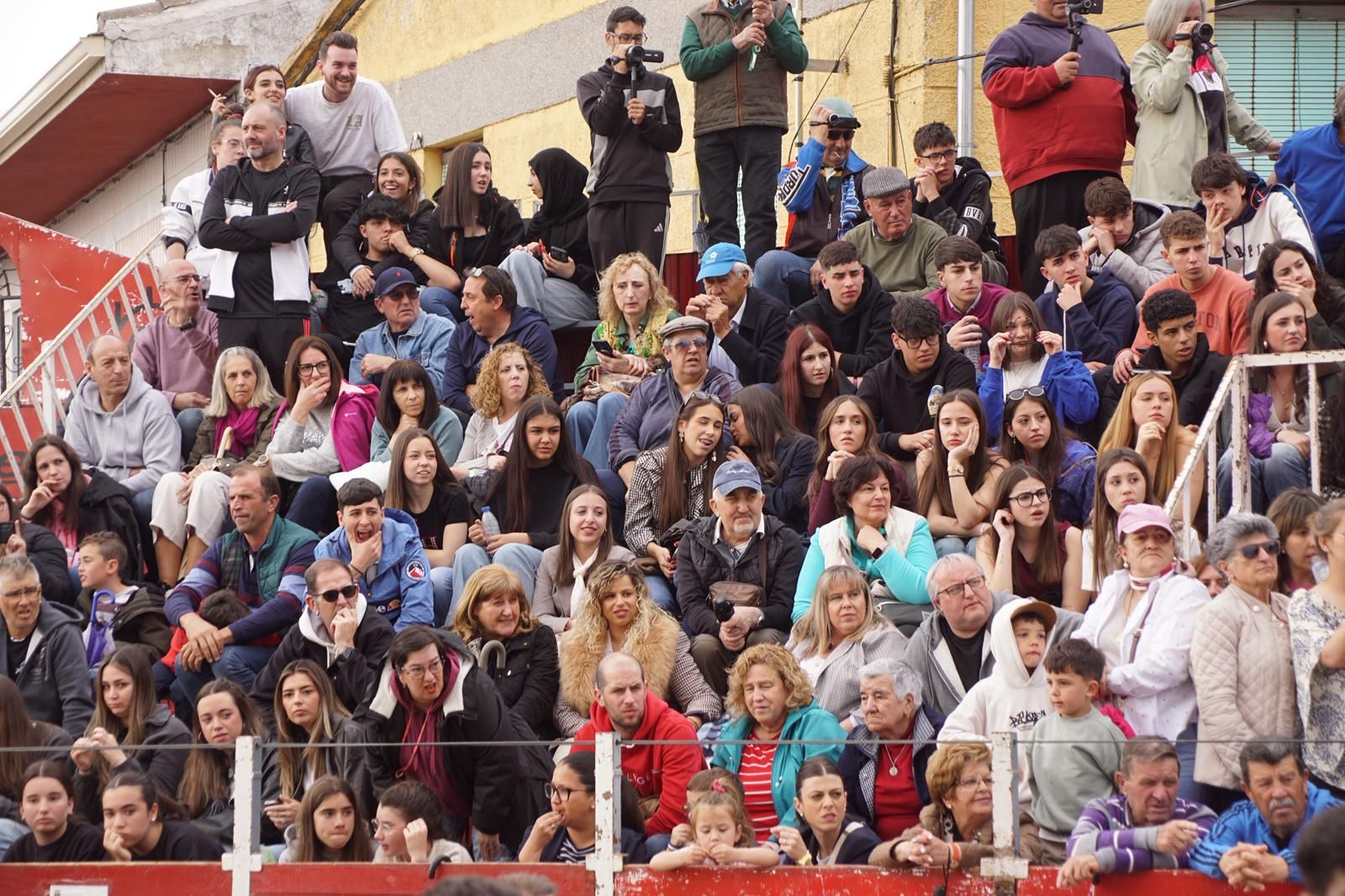 Villoria, toro del Voto