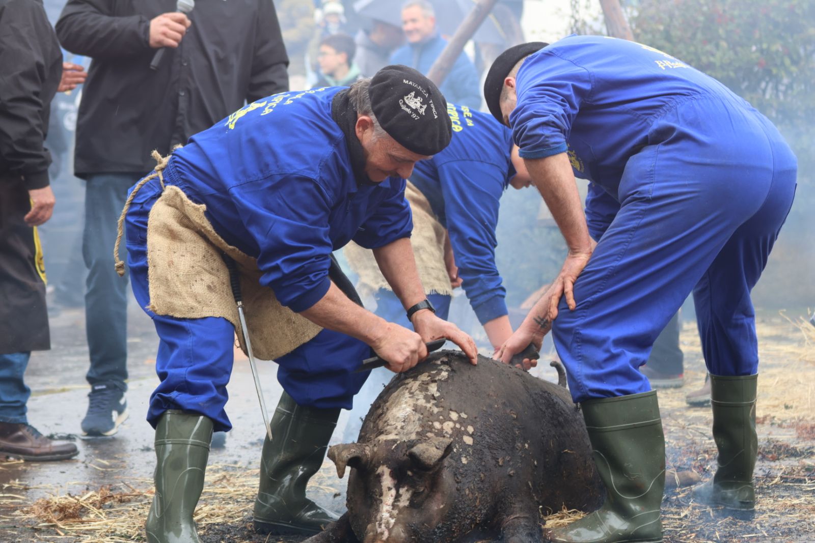 Matanza Típica de Guijuelo