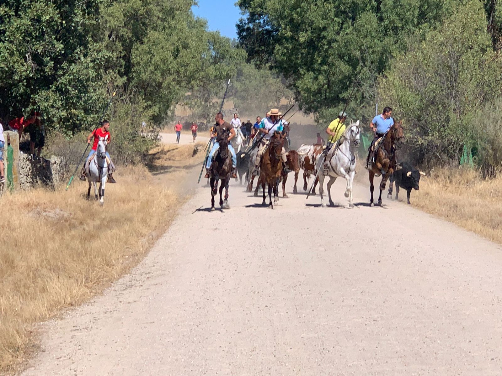Segundo encierro a caballo de Lumbrales, domingo 21 de agosto