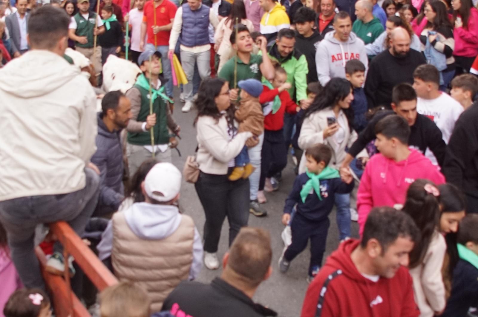 Alba de Tormes celebra un encierro, capea y encierro de minibueyes
