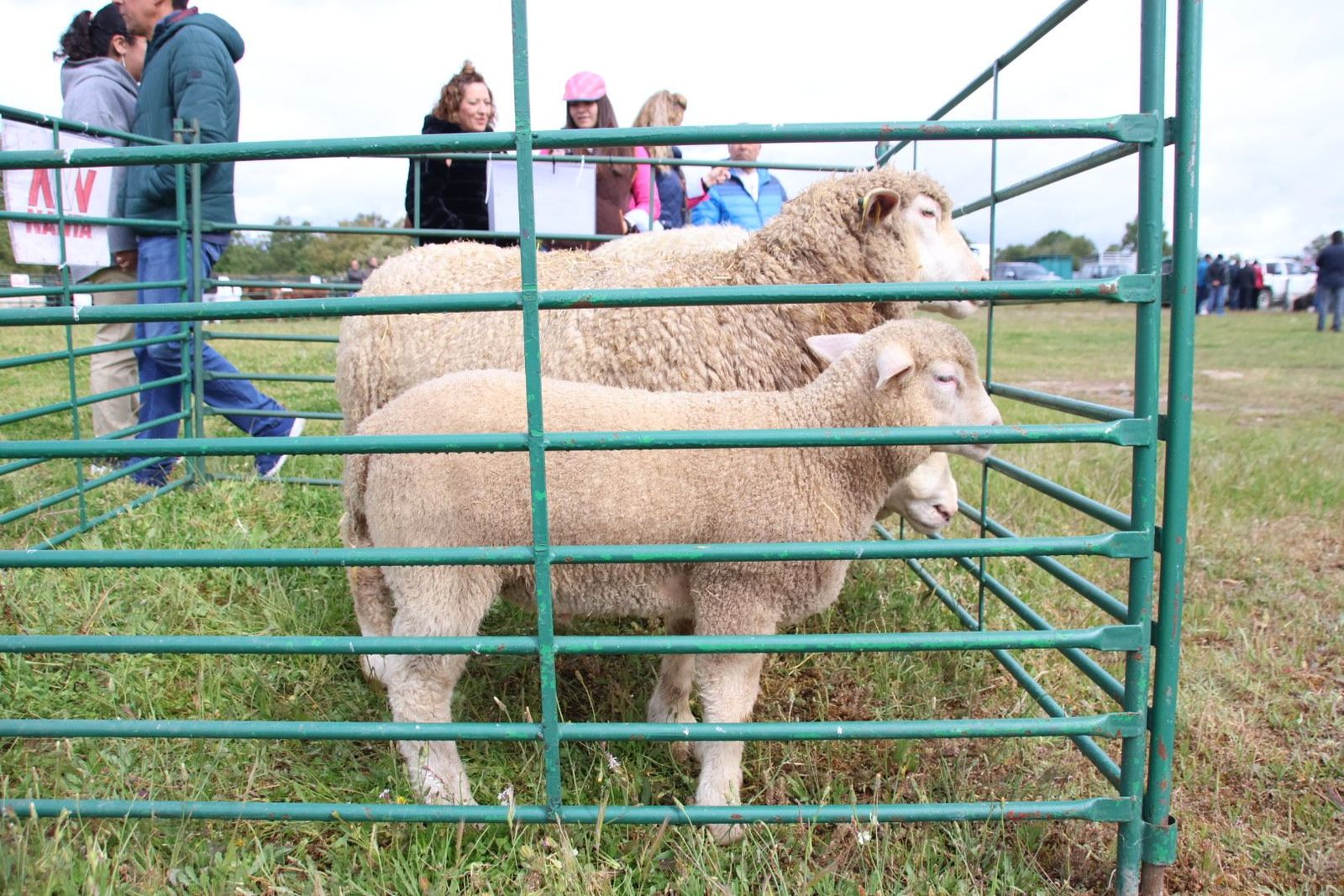 20240501103708-img-2936