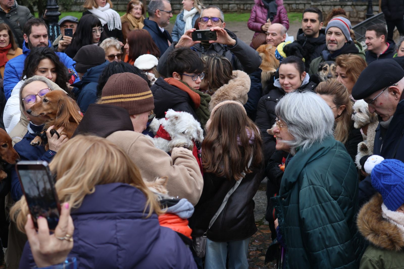 Bendición de los animales por San Antón en el Campo de San Francisco