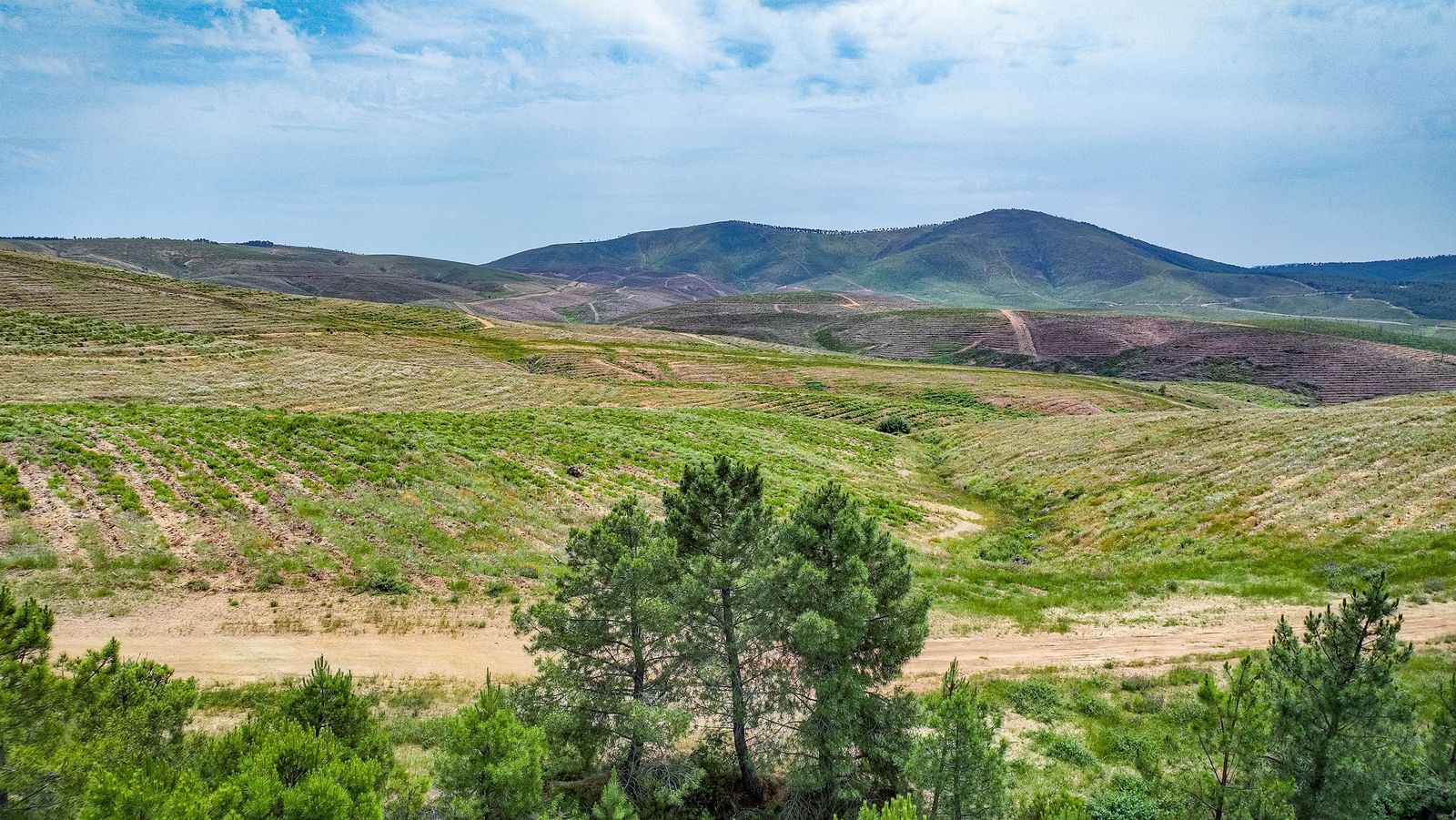 Bosque Uría en Salamanca