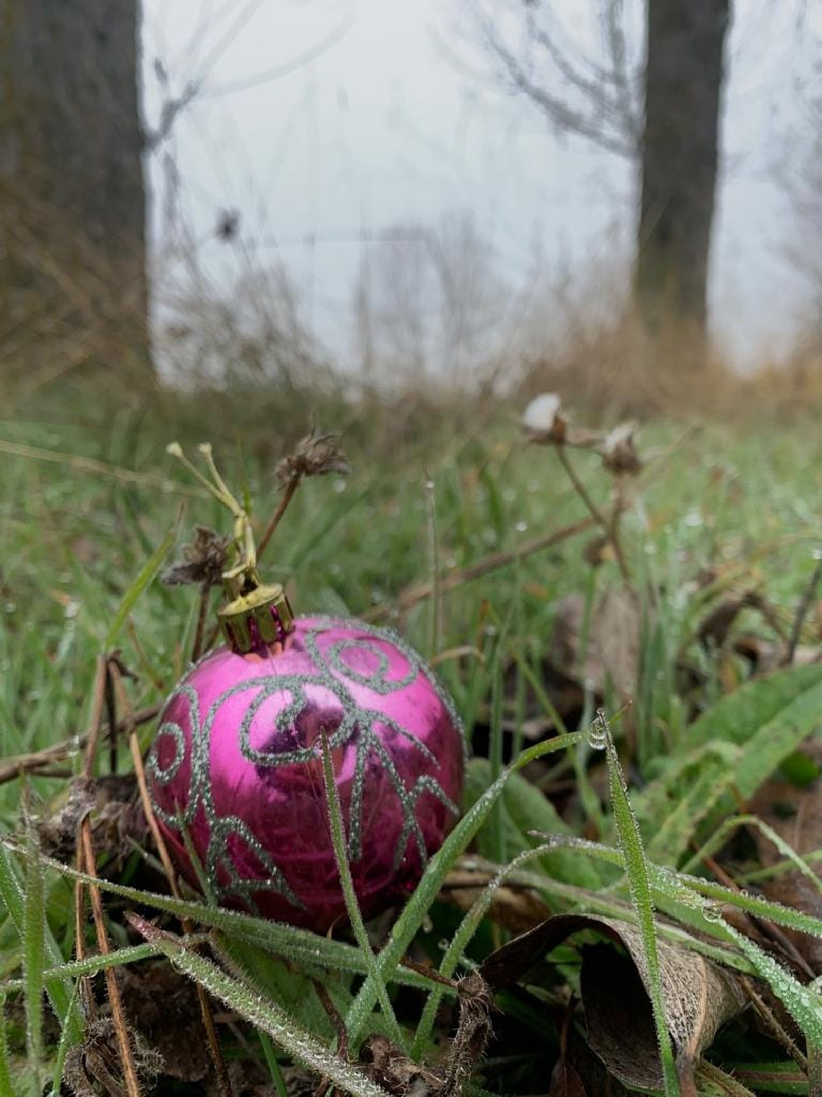 Navidad con escarcha