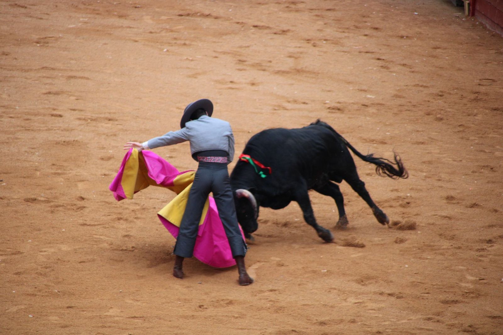 whatsapp-image-2025-03-02-at-18-53-54