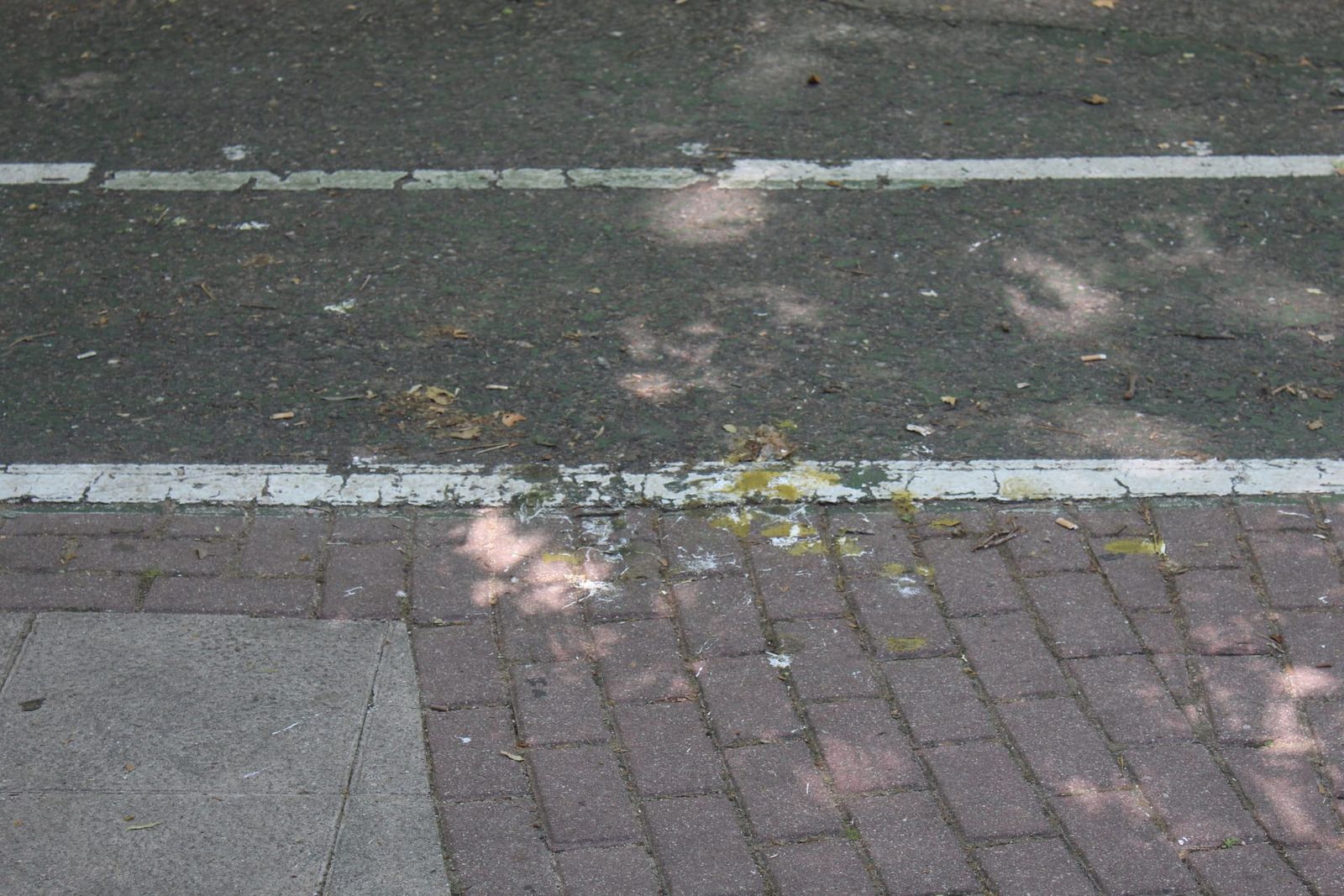 whatsapp-image-2024-07-02-at-11-30-14-2