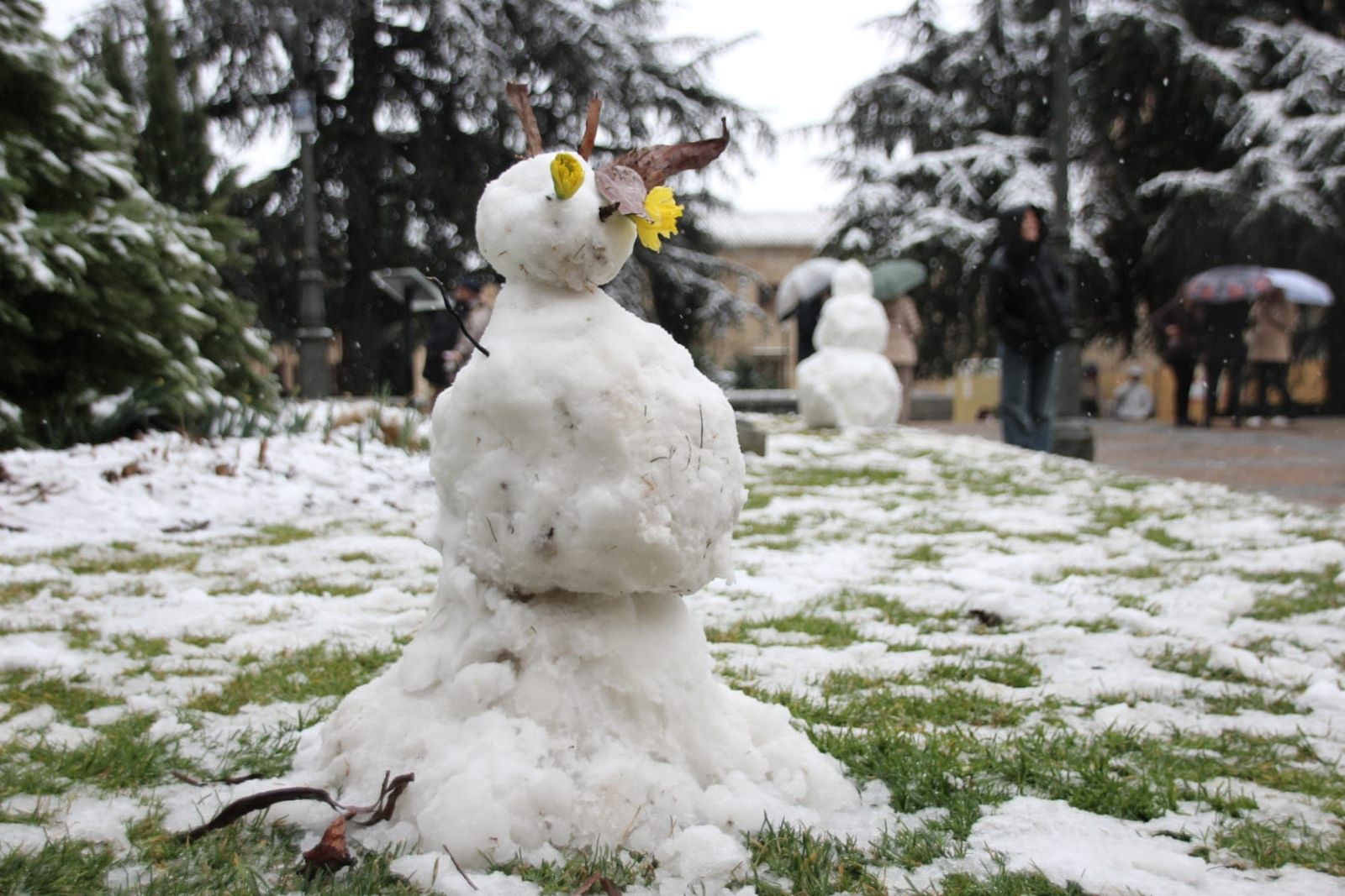 galeria-nieve-en-salamanca-capital-23-de-febrero-8