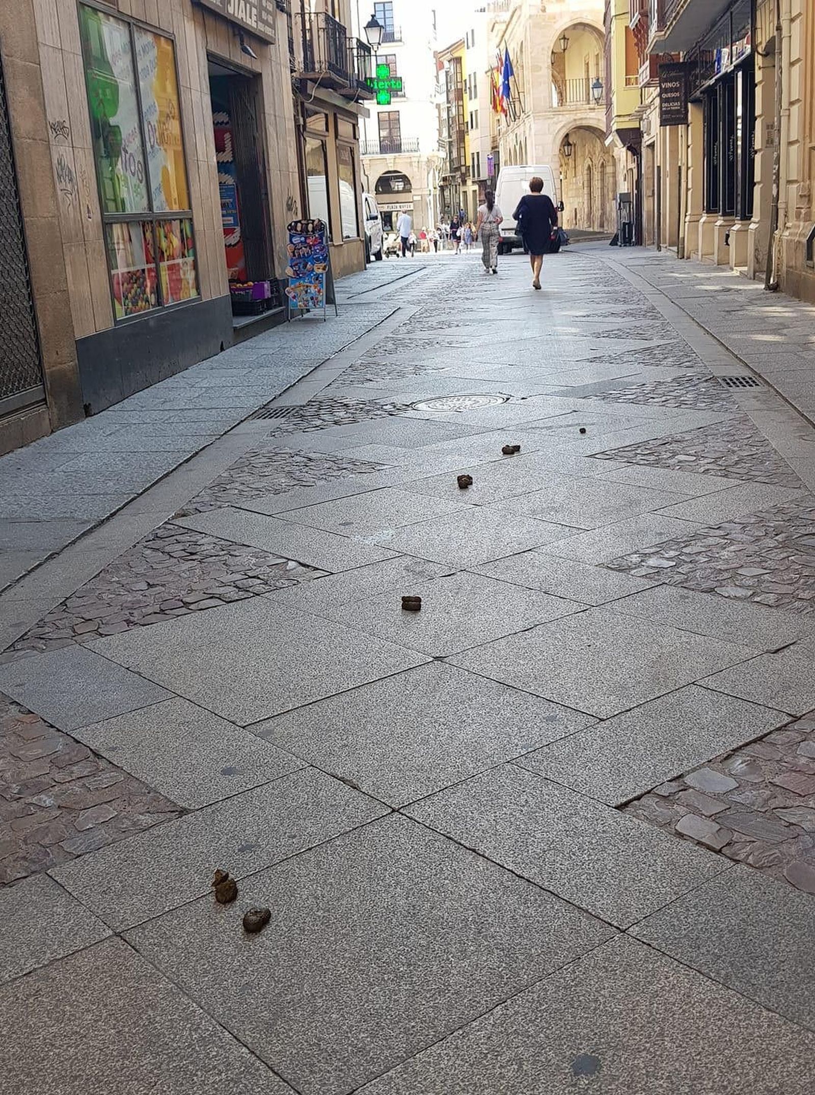 WhatsApp Image 2019 07 19 at 13.40.10