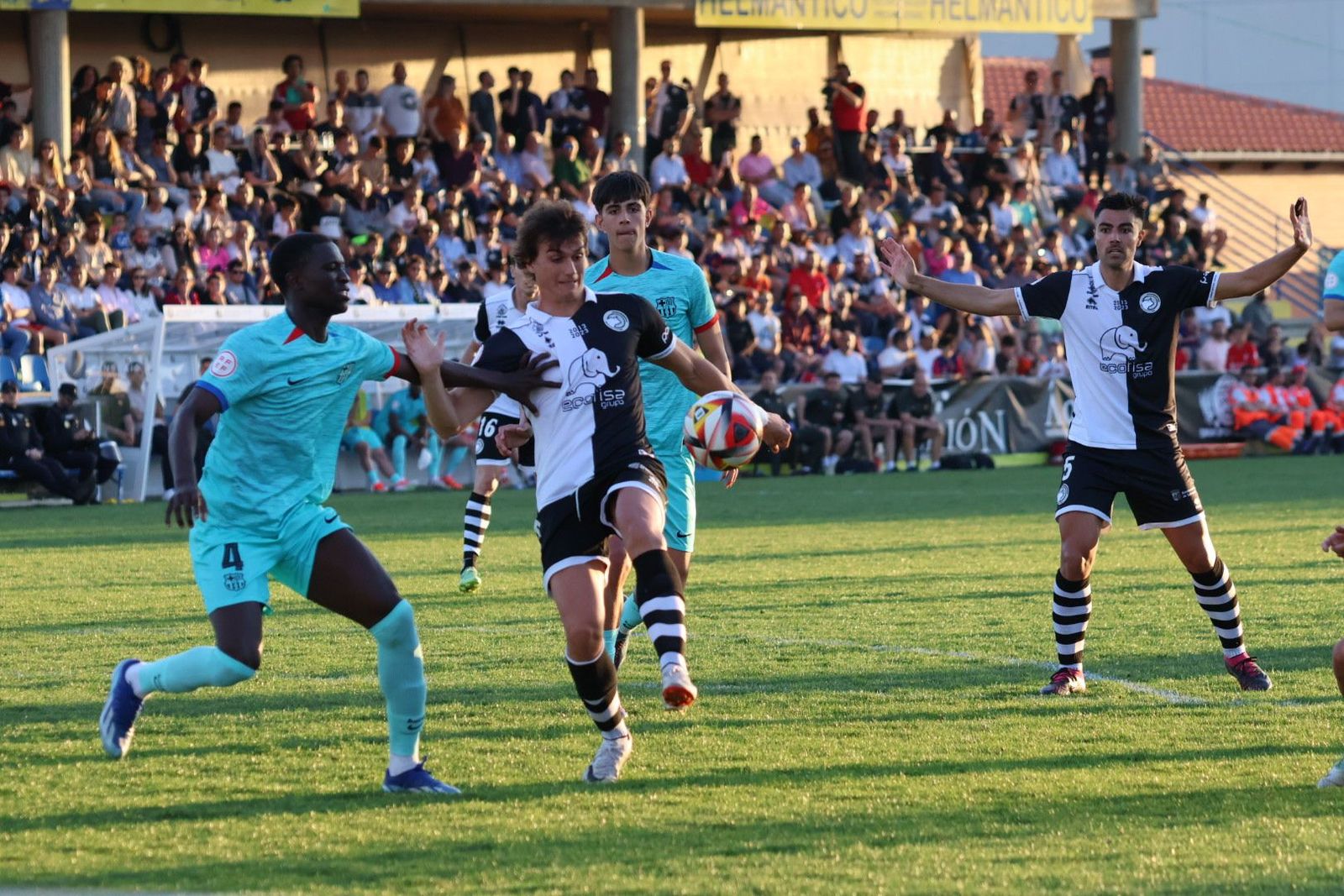 20240414193729-img-9381