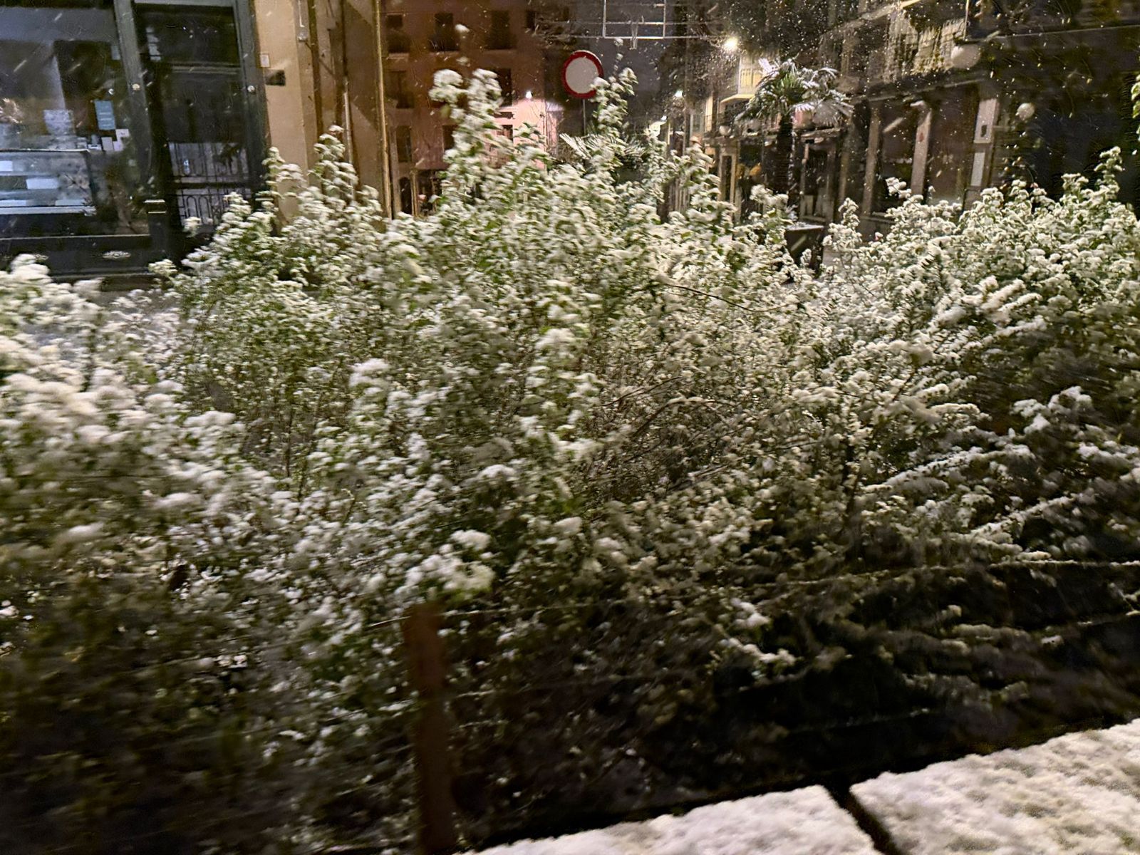 Nieve en Salamanca capital