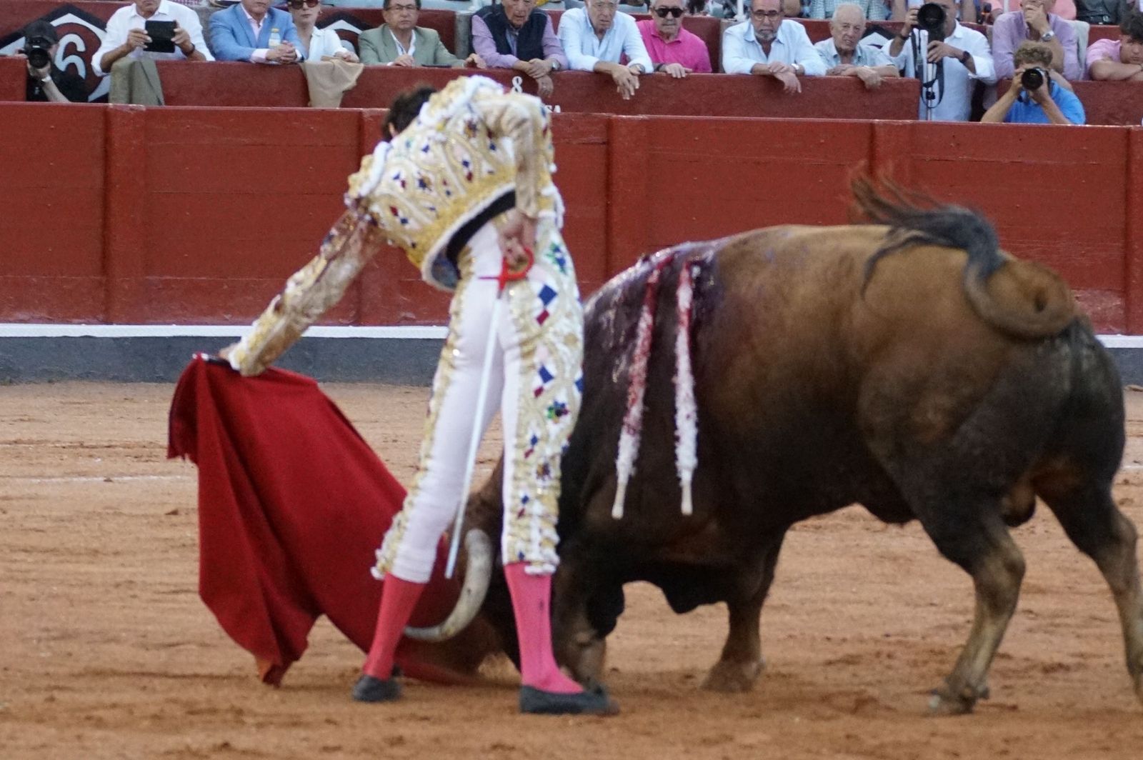 Emilio de Justo, Juan Ortega y Roca Rey inauguran el cartel de figuras en la feria de Salamanca: la corrida de Garcigrande en imágenes