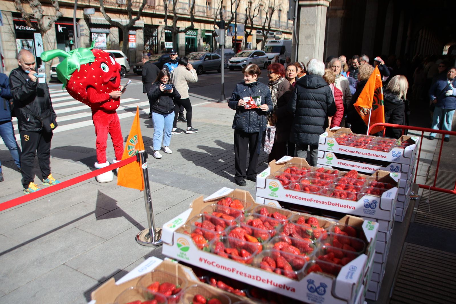 UPA reparte 700 tarrinas de fresas