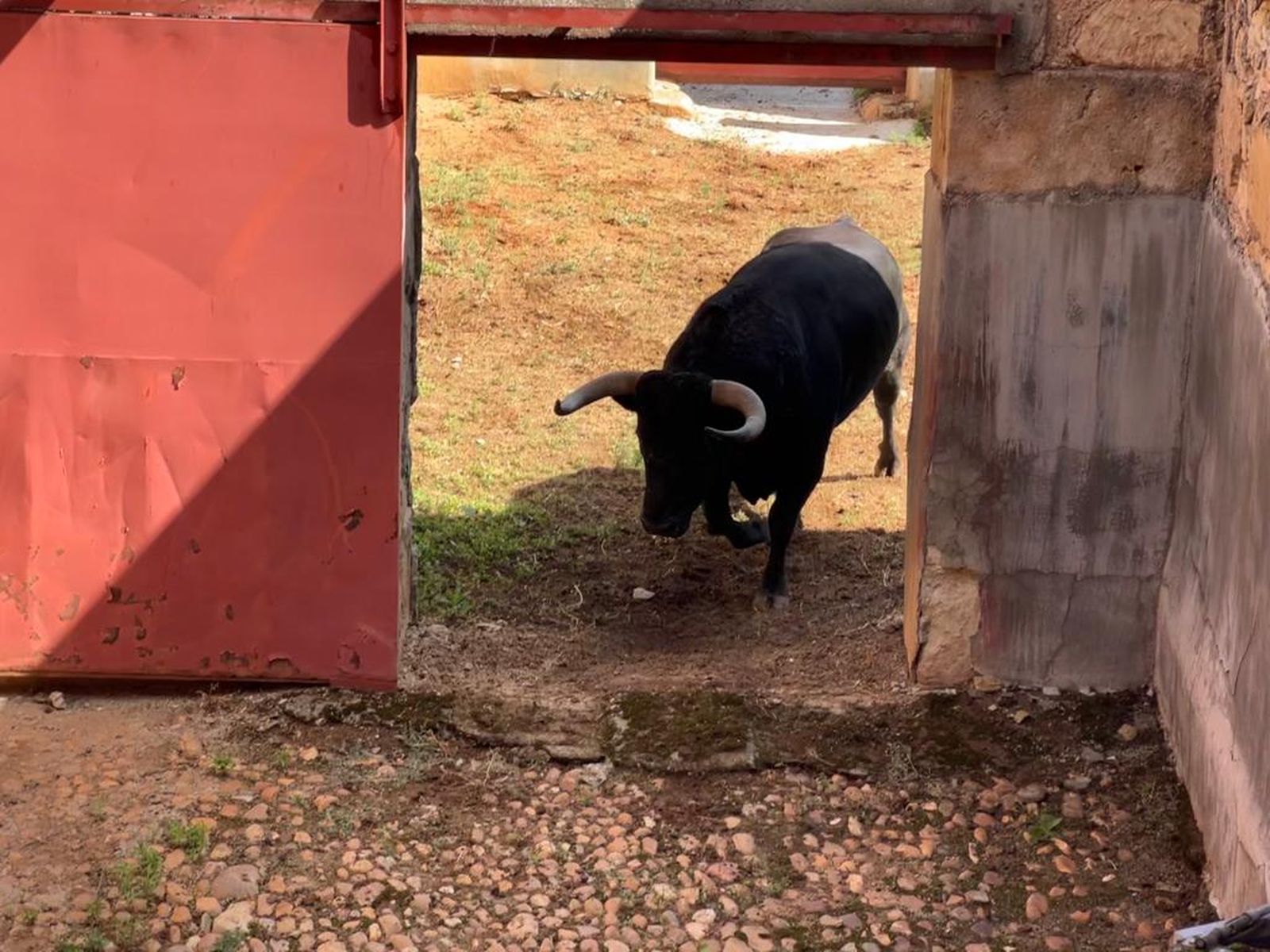 whatsapp-image-2023-09-17-at-12-56-34