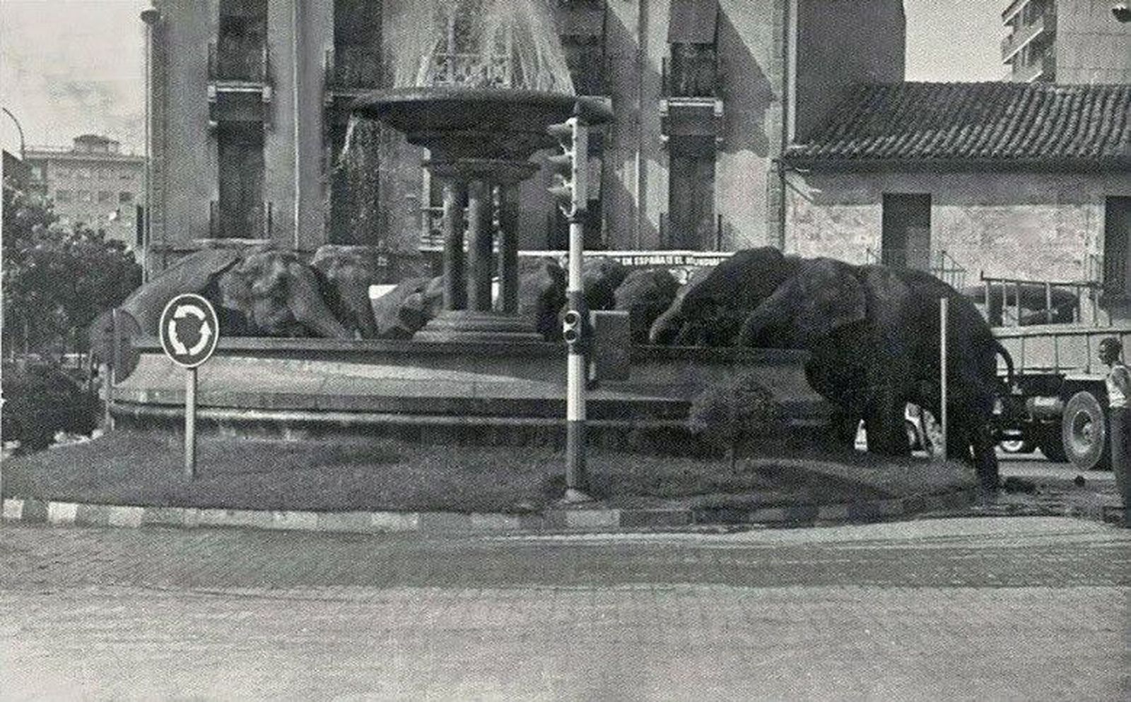 Puerta de Zamora elefantes