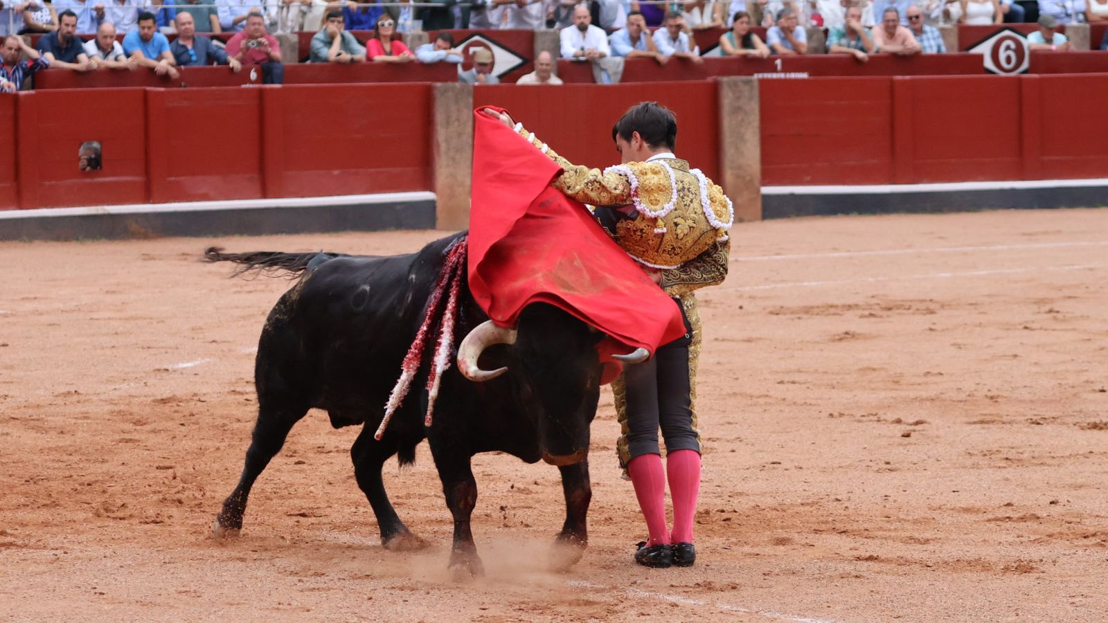 Ismael Martín por bernardinas sin la ayuda