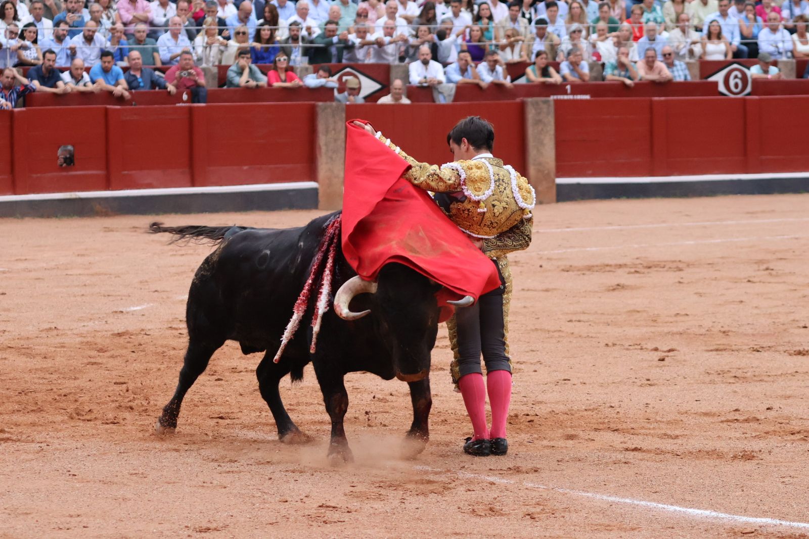 Ismael Martín, Marco Pérez y el aclamado regreso de Morante de la Puebla: su paso por La Glorieta en imágenes