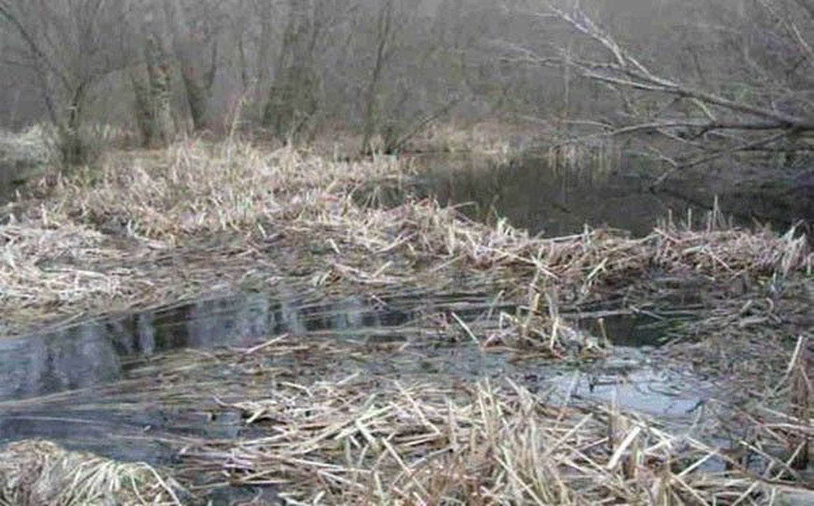 Bajo-Tormes organiza un Encuentro Infantil y reivindica la recuperación del río