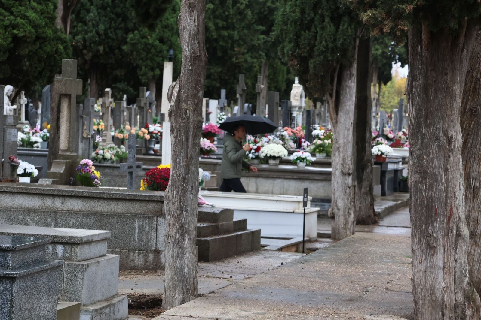 GALERÍA | La lluvia no detiene la tradición: los zamoranos acuden al cementerio para recordar a sus fallecidos