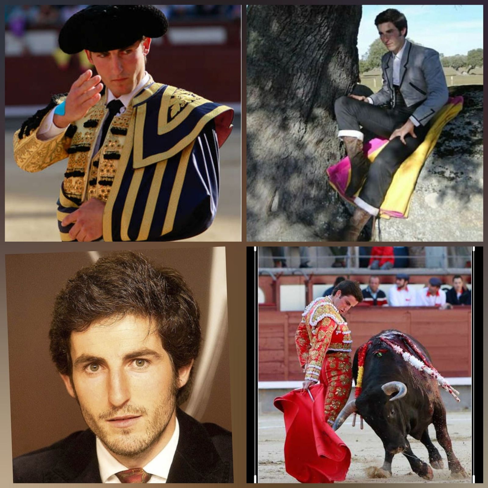 27230342 4dc0 45d4 97d2 f64c29bb9650