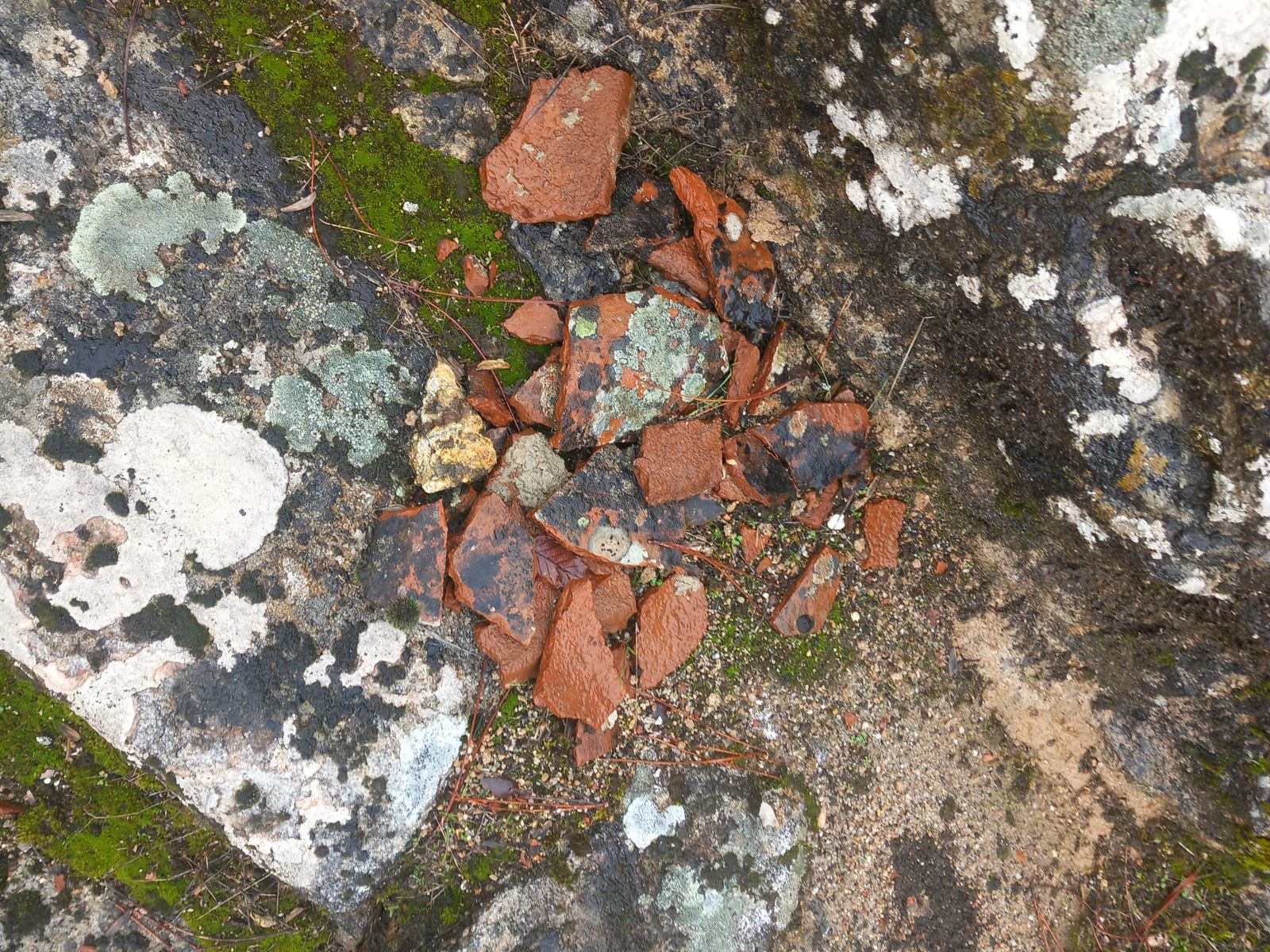 Plaza de Toros La Ancianita de Béjar  (22).jpeg