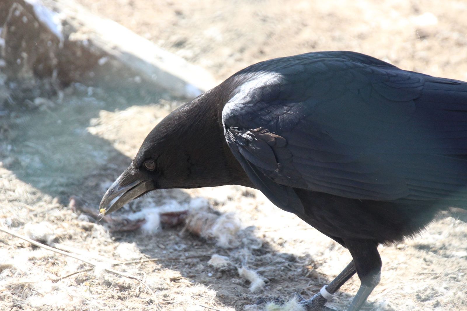 20230304152025-img-1675