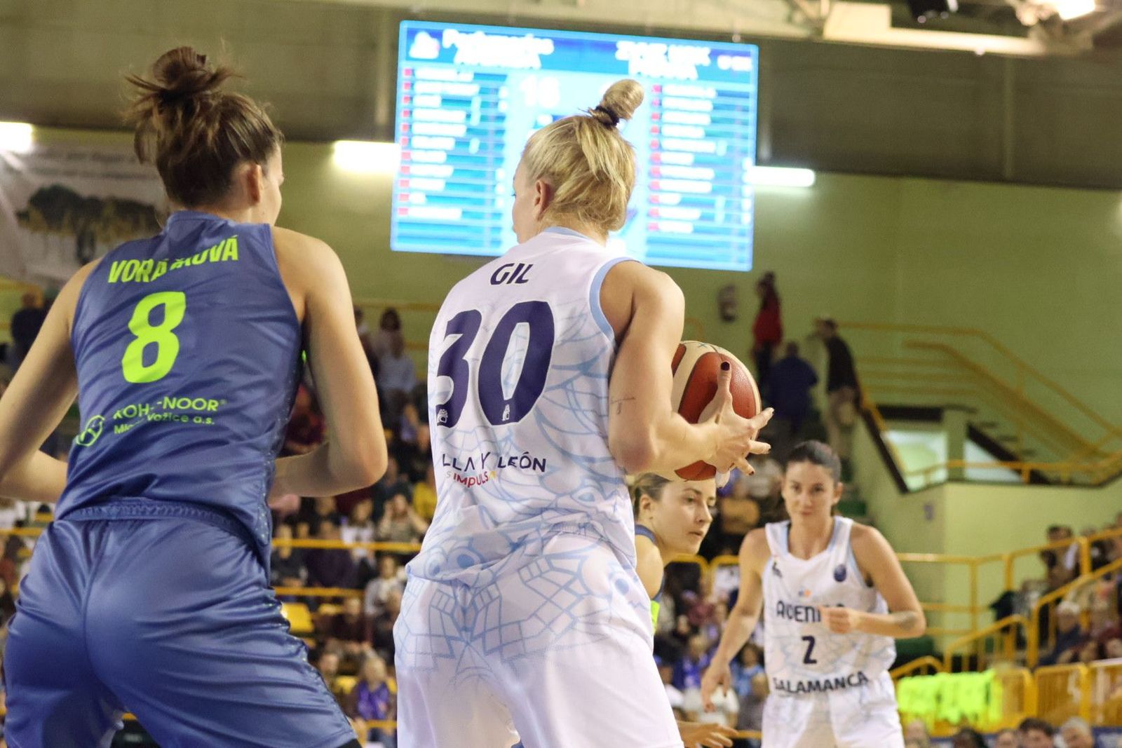 20231025194636-img-5262