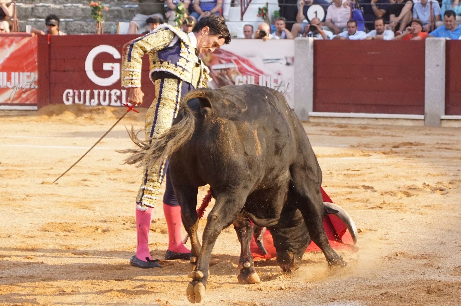 En imágenes la despedida de los ruedos de El Capea en Guijuelo