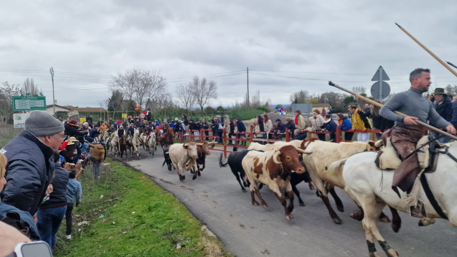 Encierro a Caballo en el Carnaval del Toro 2026 de Ciudad Rodrigo