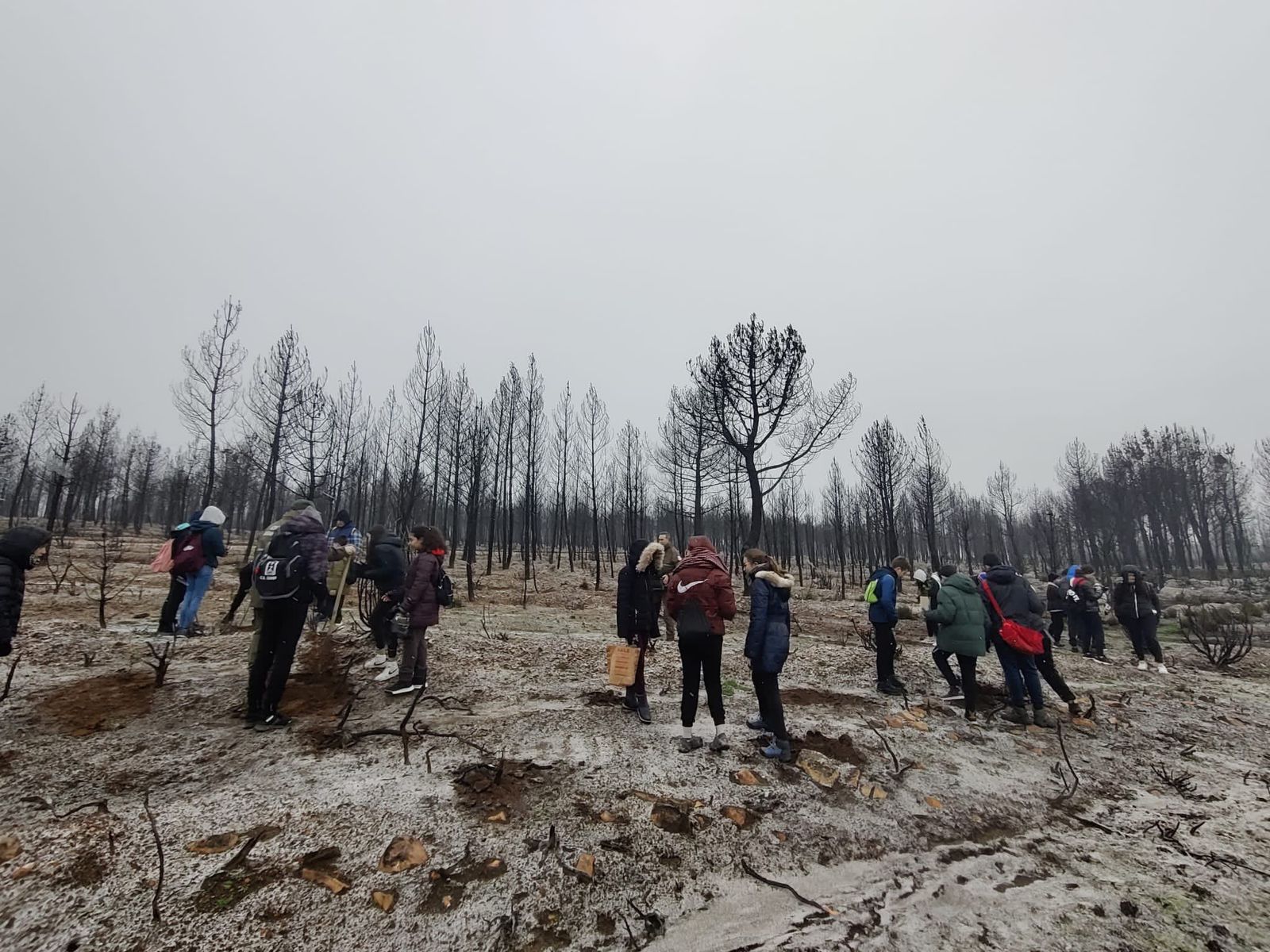 Jornada de reforestación con 2°ESO dentro del proyecto Adopta un Árbol