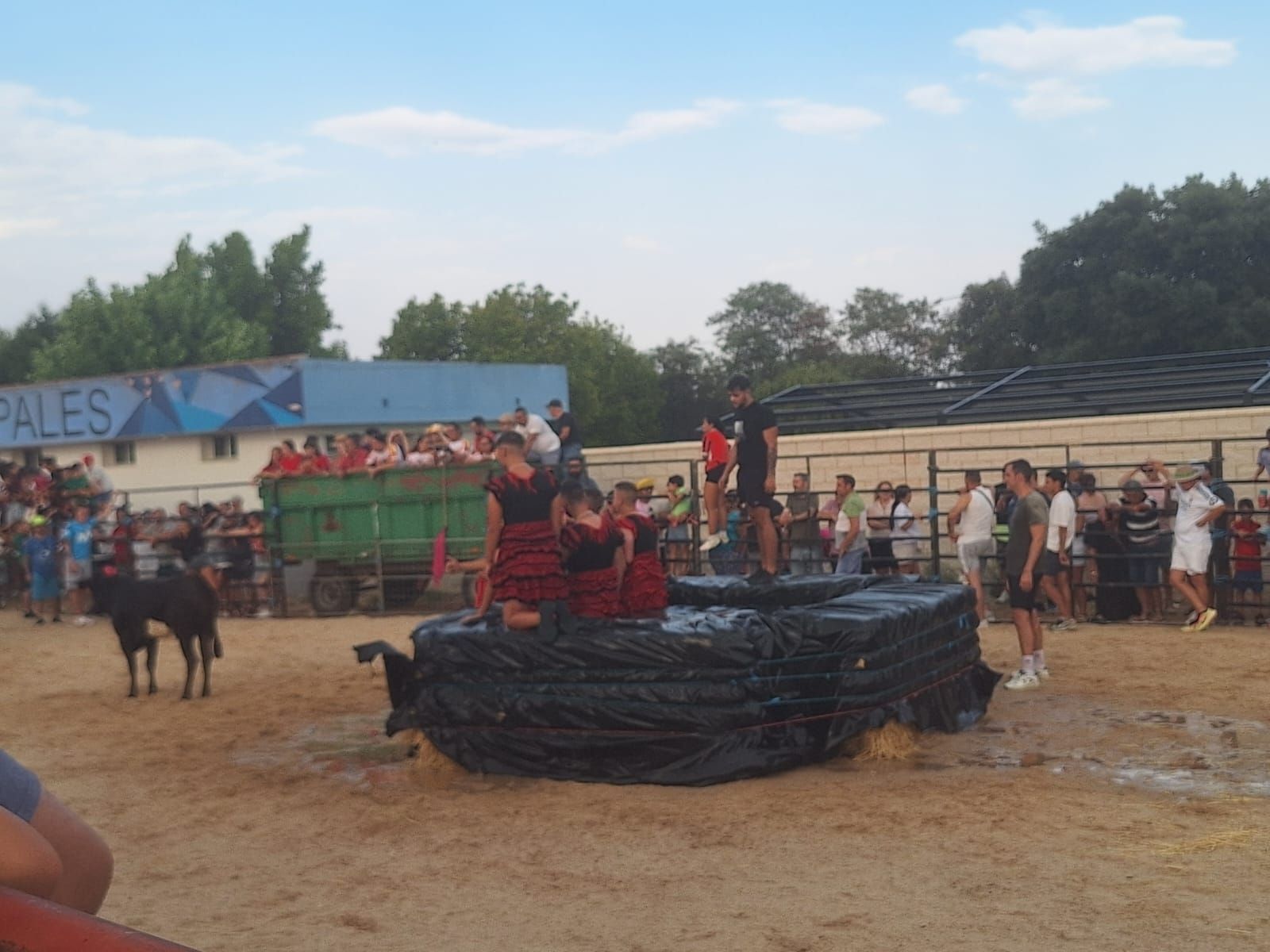Cientos de personas disfrutan de las vaquillas de Valdelosa