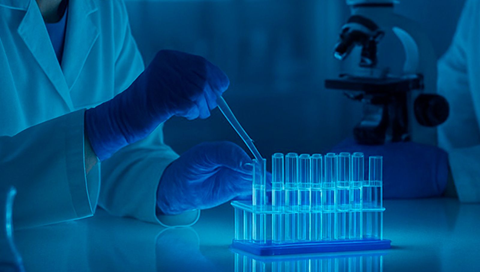 La Universidad de Salamanca consigue 12 ayudas ERC del Consejo Europeo de Investigación y se consolida como líder absoluto en Castilla y León