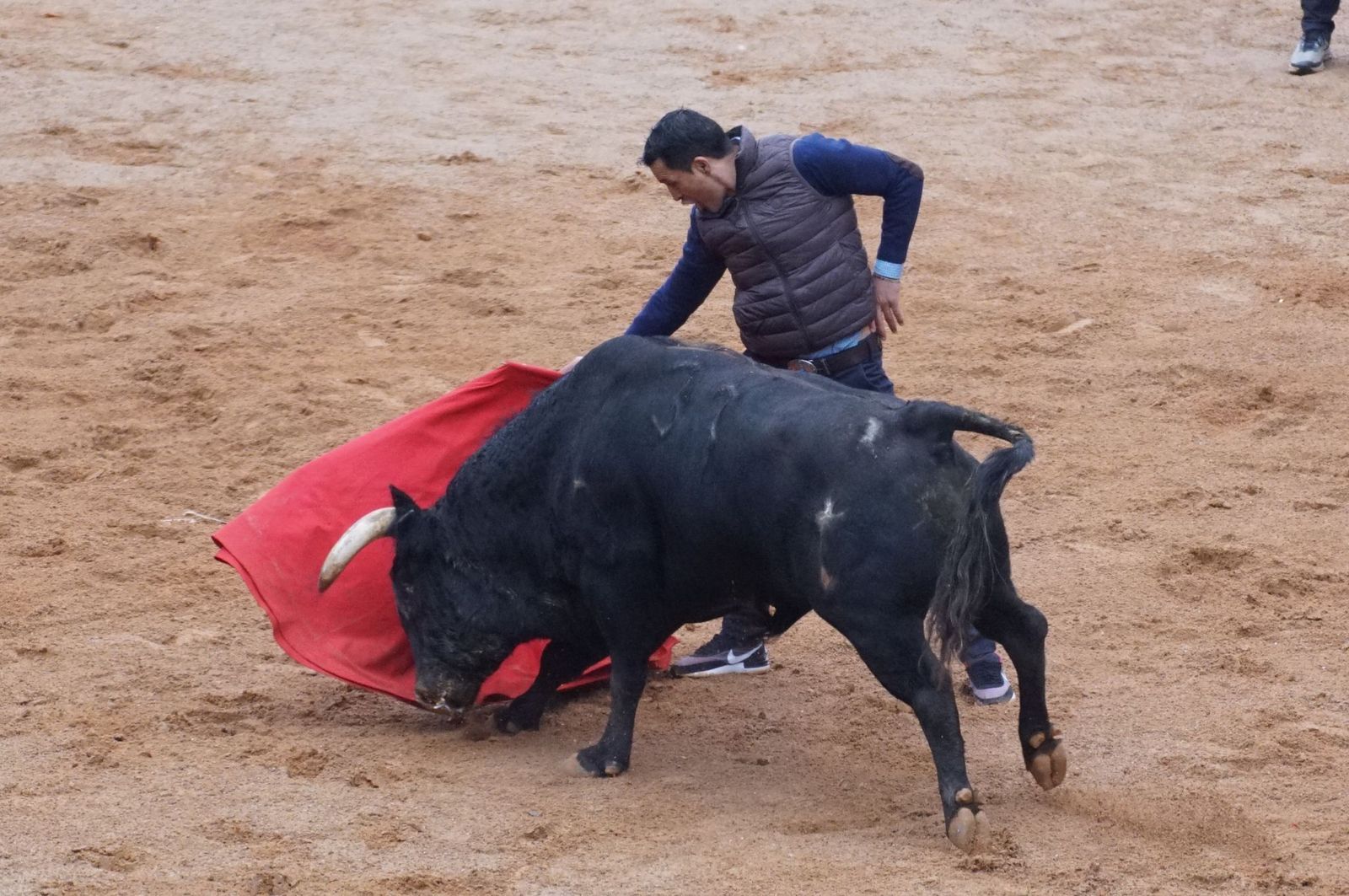 whatsapp-image-2025-03-03-at-14-50-08-1