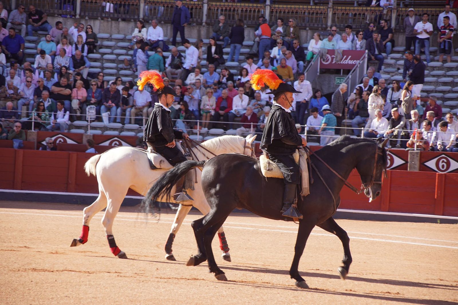 whatsapp-image-2024-09-13-at-19-46-12