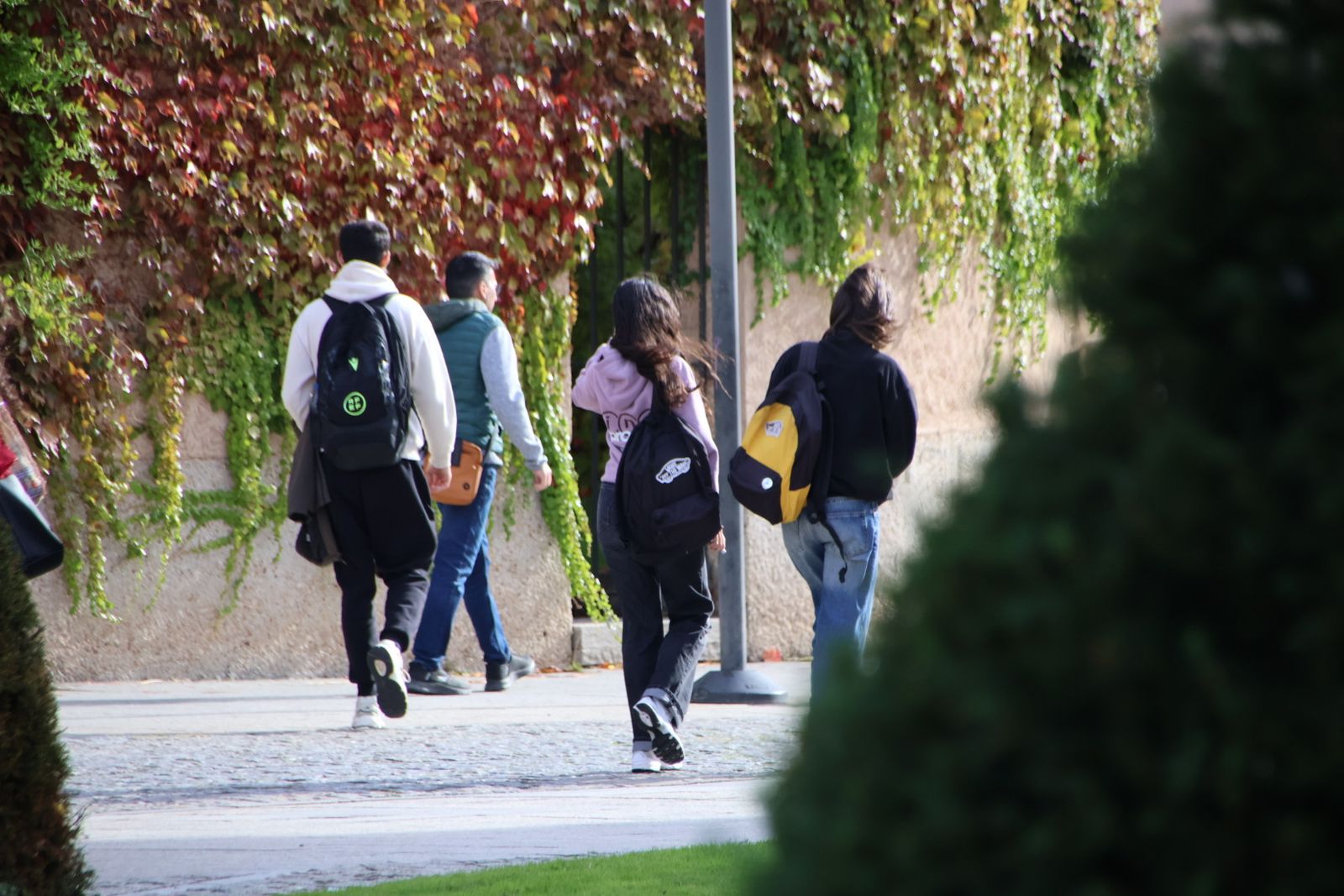 Estudiantes de camino a la biblioteca