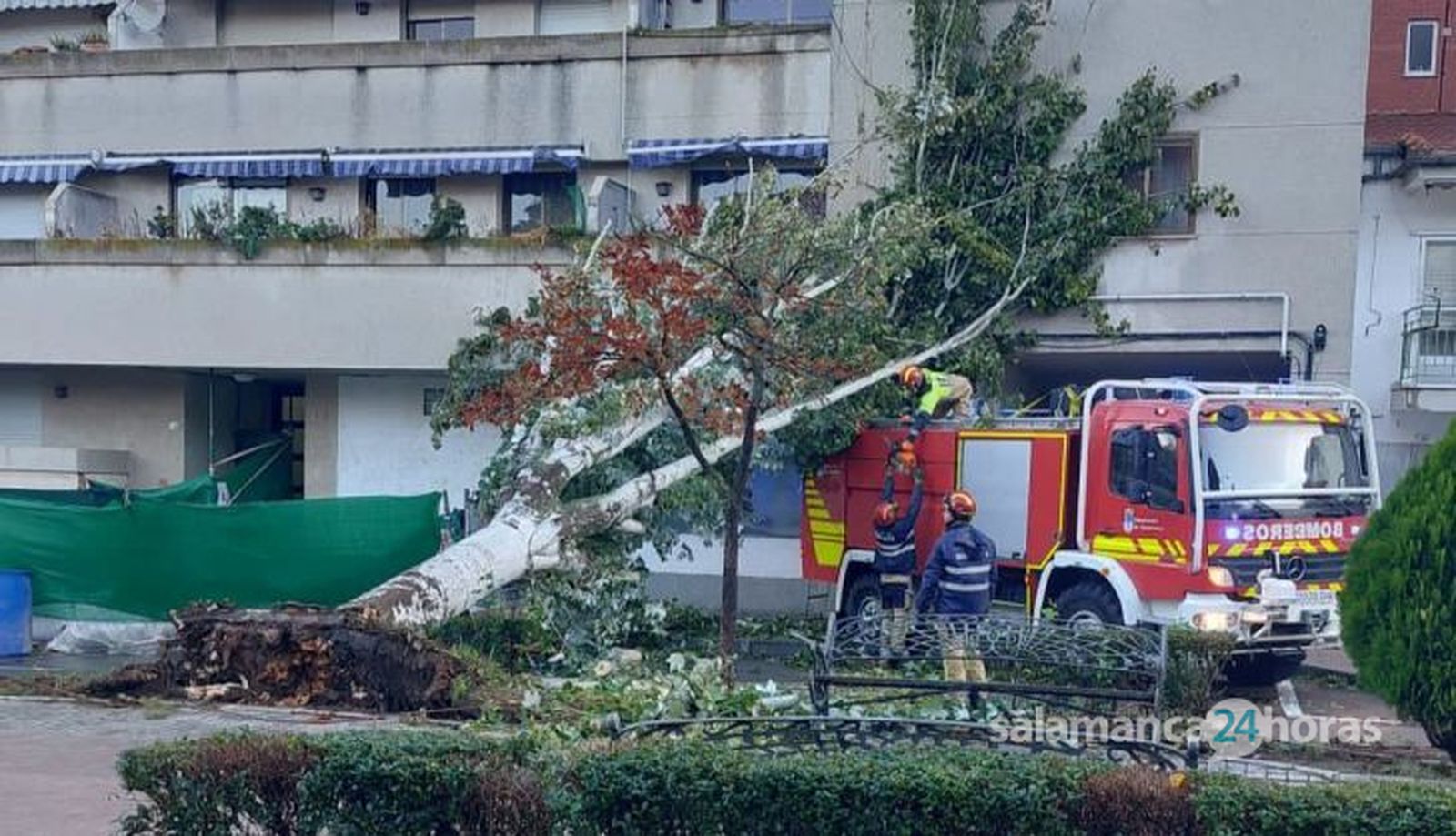 GALERÍA | La borrasca 'Ciarán' causa grandes destrozos en Salamanca