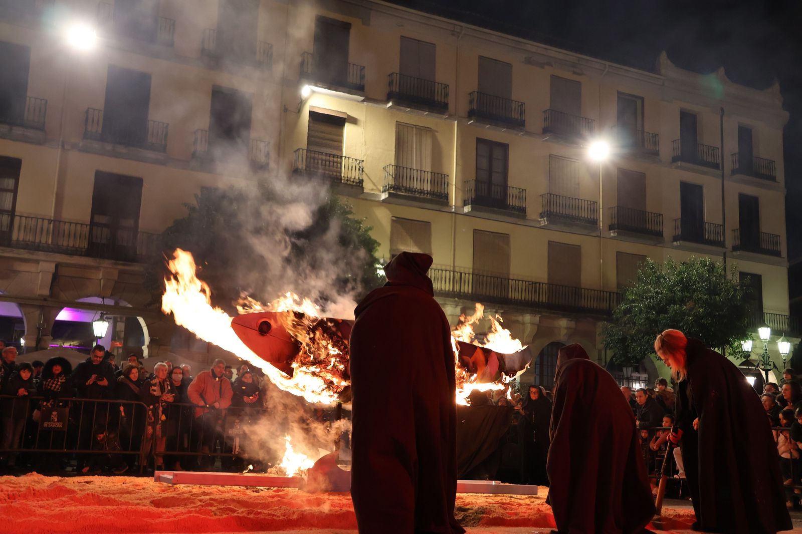 entierro-de-la-sardina-2025-86